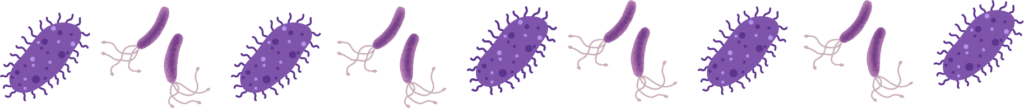 Parasite illustrations for pet parasites education from Herd Health Management in Maricopa, AZ