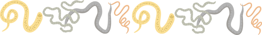Intestinal worms representing parasites in Maricopa, AZ