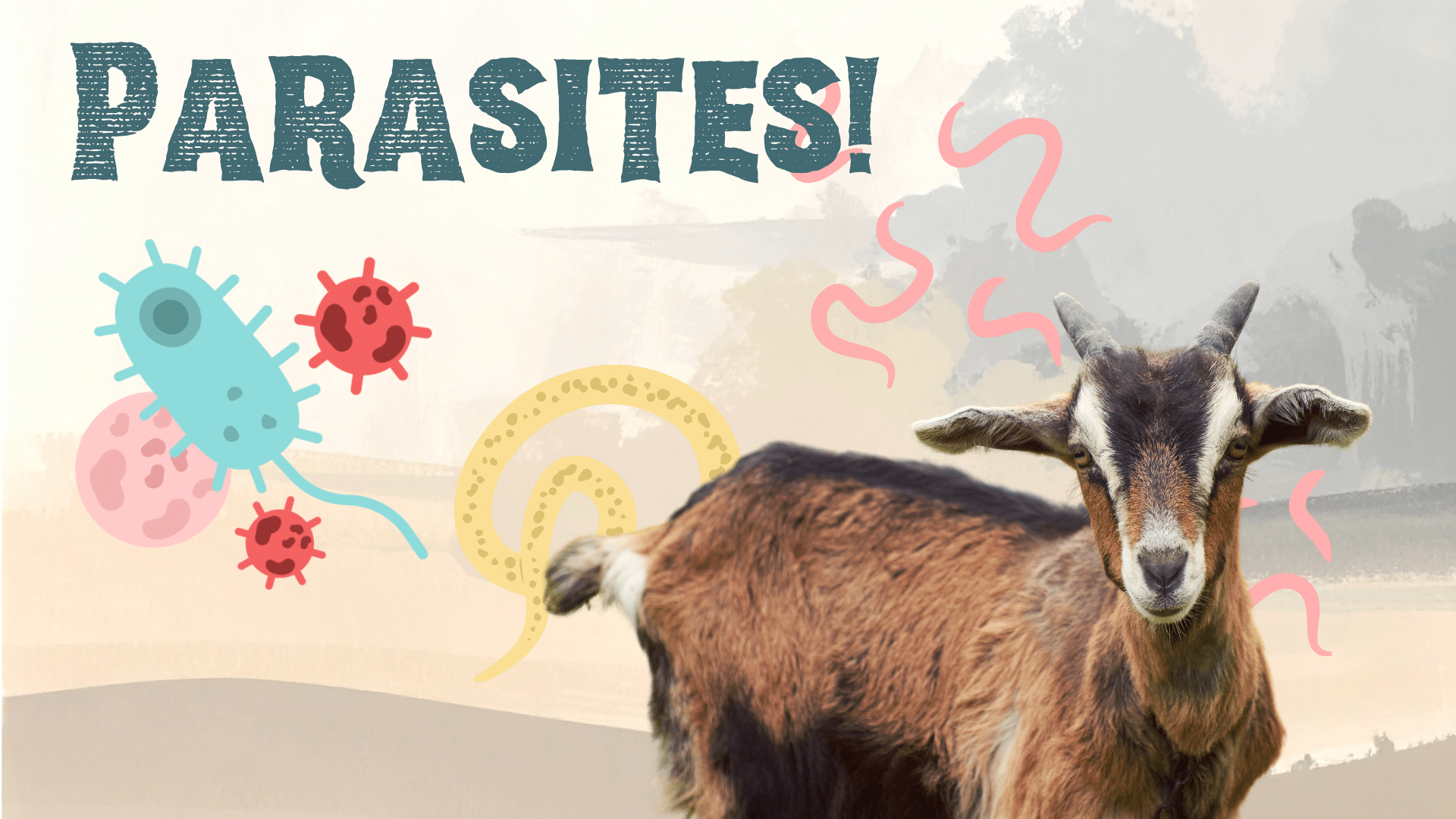 Goat surrounded by parasites in Maricopa, AZ